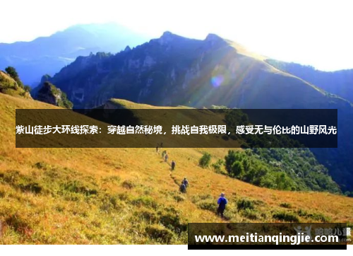 紫山徒步大环线探索：穿越自然秘境，挑战自我极限，感受无与伦比的山野风光
